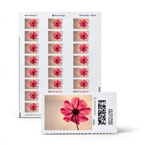 Stamps.com Pink Cosmos Netstamps 5 Sheet Postage Labels-0