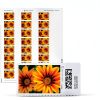 Treasure Flowers NetStamps 120 Pack by Stamps.com Internet Postage-0